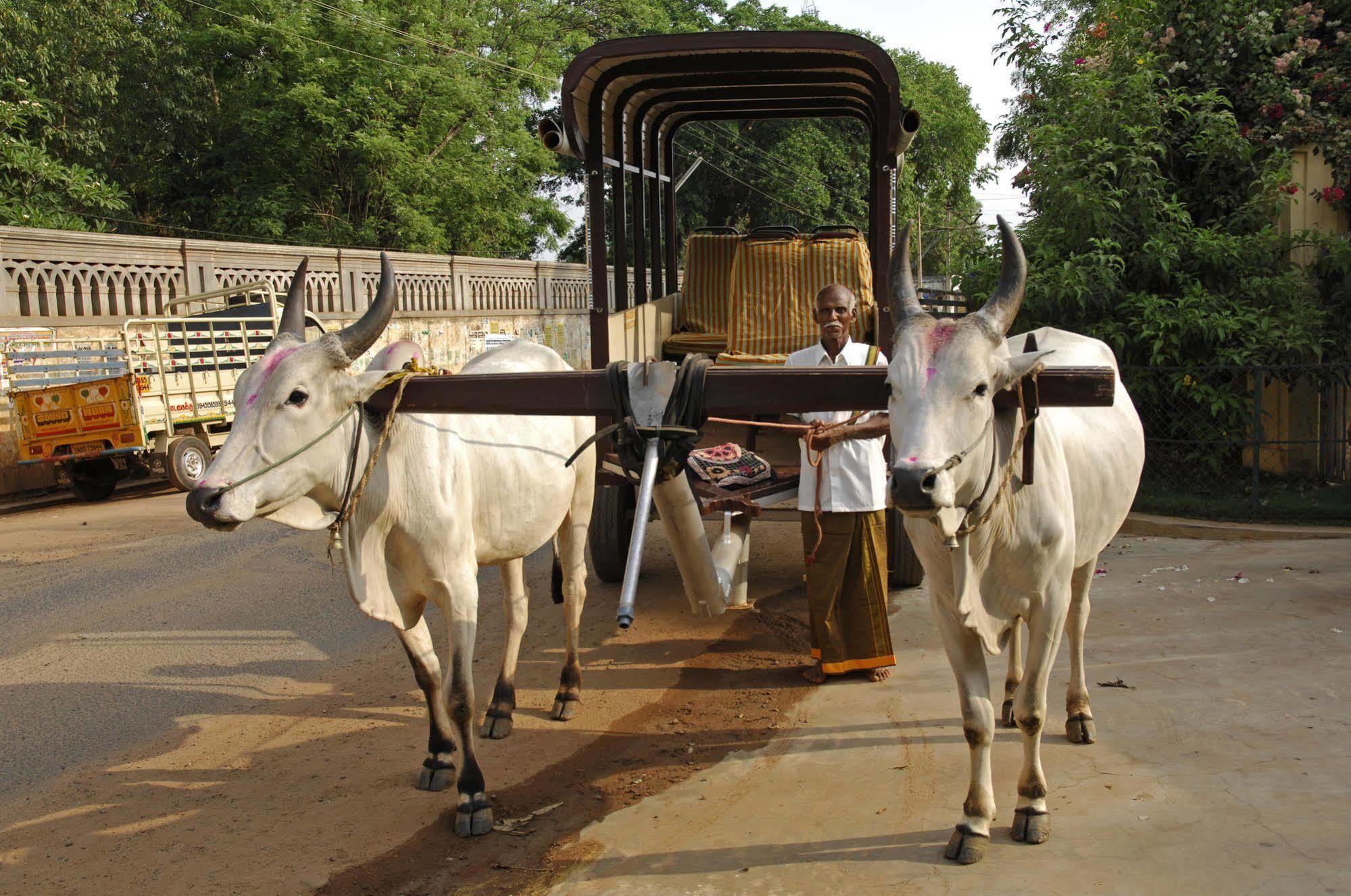 Visalam Chettinad Palace - A Cgh Earth Experience Kānādukāttān Bagian luar foto